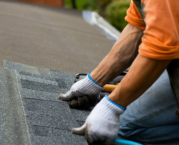 Best Local Roofing Companies  in Harwood Heights, IL