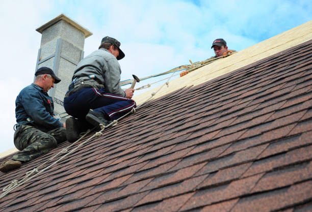 Quick and Trustworthy Emergency Roof Repair Services in Harwood Heights, IL